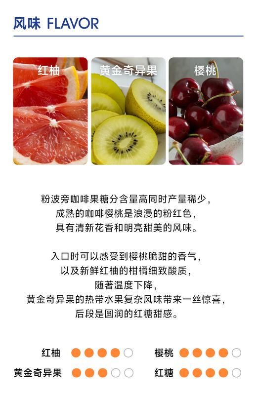 分界线 粉波旁 ｜高甜花香 细致柔和 商品图1