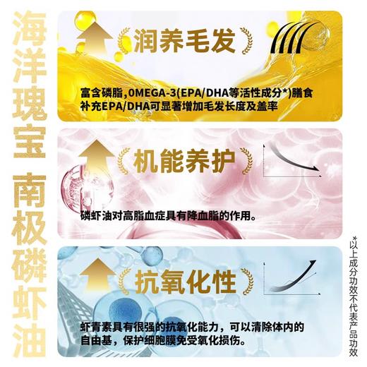 【金多乐金选】R55主食冻干480g锁鲜小包生骨肉成幼猫营养增肥发腮 商品图3