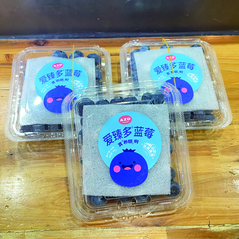 花香蓝莓125g 18+