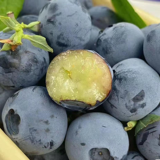 花香蓝莓125g 18+ 商品图2