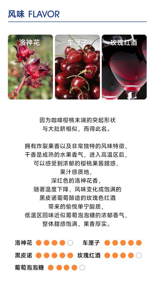 分界线 大肚脐 ｜WBC季军用豆2023 商品图2