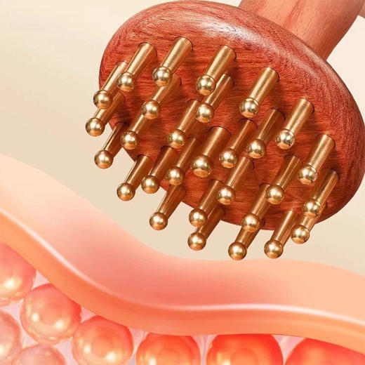 花梨木加长手柄29黄铜齿 经络刷 商品图5