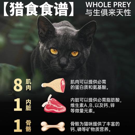 【金多乐金选】R55主食冻干480g锁鲜小包生骨肉成幼猫营养增肥发腮 商品图2