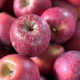 昭通苹果1000g/份