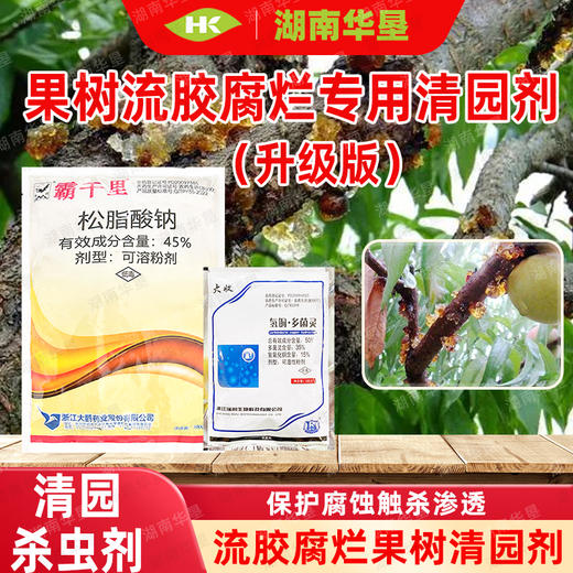 果树流胶溃疡腐烂清园松脂酸钠果园茶园清园专用 商品图0
