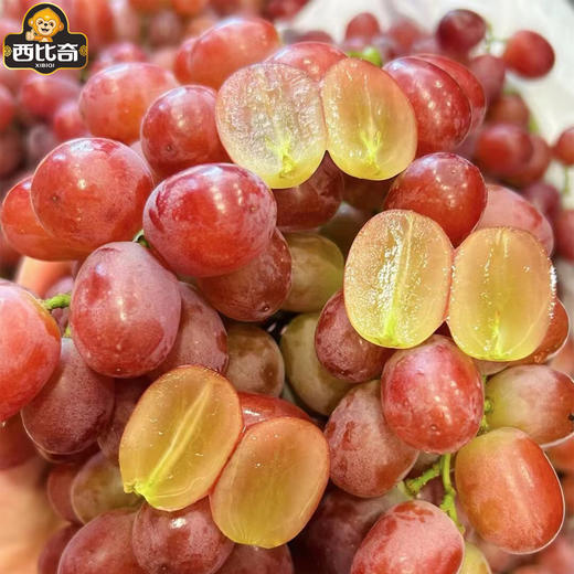 【脆嫩多汁】克伦生无籽红提 约500g/份 商品图1