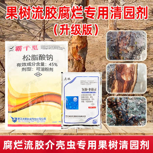 果树流胶溃疡腐烂清园松脂酸钠果园茶园清园专用 商品图1