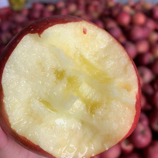 昭通苹果1000g/份 商品图1