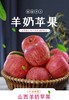 羊奶苹果净重4.5斤装/净重8-8.5斤装 商品缩略图0