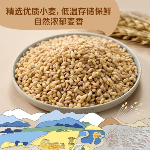中粮初萃低糖多用途小麦粉5kg面粉 商品图2
