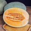 【脆甜可口】密瓜 约1000g/份（带皮称重） 商品缩略图0