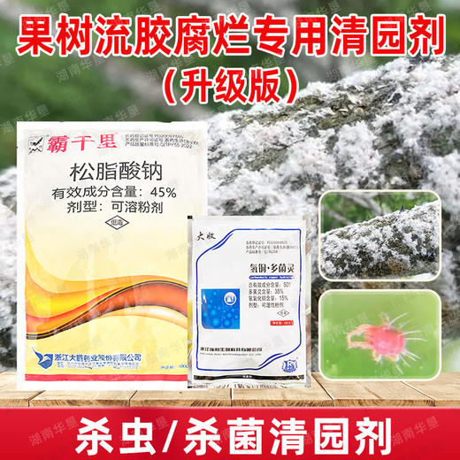 果树流胶溃疡腐烂清园松脂酸钠果园茶园清园专用 商品图2