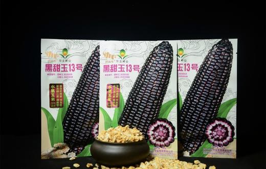 【5袋起包邮】川农牛·黑甜玉种子50g/袋   水果玉米 甜质型 富含花青素、硒元素 可生吃 商品图2