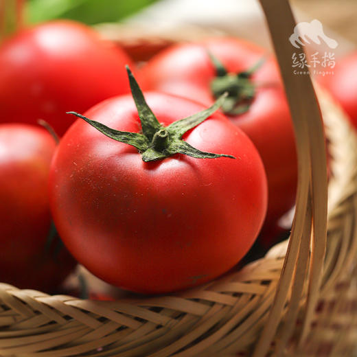 生态西红柿（广州） | 合作生产*Ecological Tomato | Partner Production 商品图4