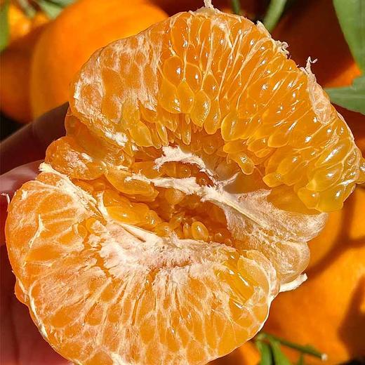 耙耙柑精品(礼盒) 约4.5kg/件 商品图2