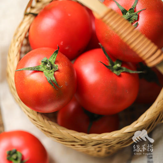 生态西红柿（广州） | 合作生产*Ecological Tomato | Partner Production 商品图2