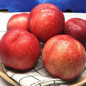 进口油桃 约500g/份（口感脆甜）