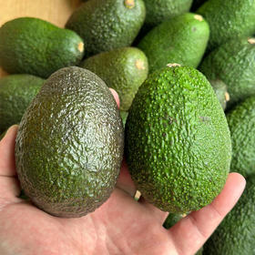 牛油果 （约120g/个）