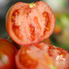 生态草莓西红柿/番茄（小规格1斤装） | 绿家自产*Ecological tomato | In-House Production 商品缩略图2