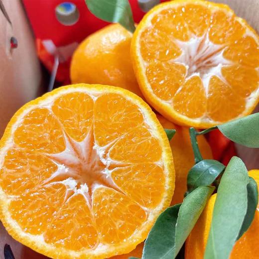 耙耙柑精品(礼盒) 约4.5kg/件 商品图1