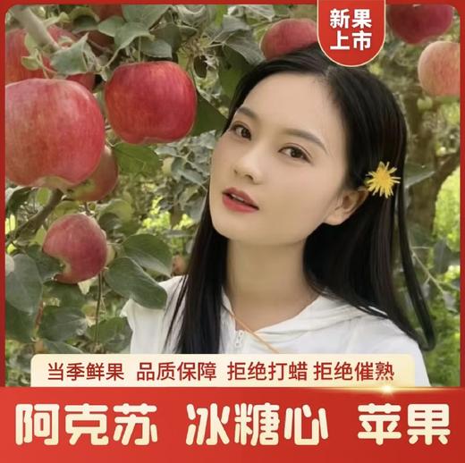 【援疆助农】2026新果 新疆阿克苏冰糖心苹果来了 商品图1
