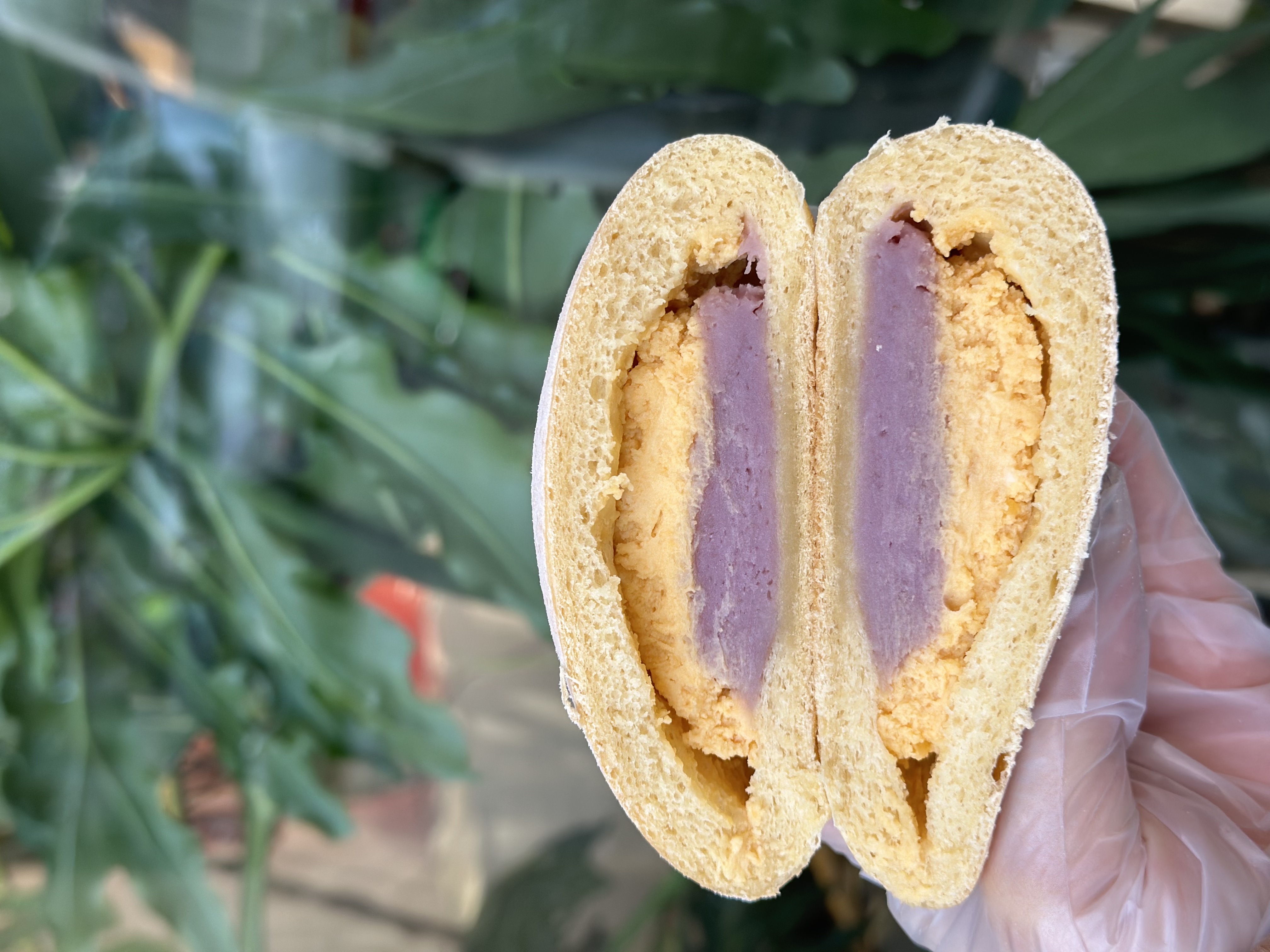 芋泥蛋黄米面包（出货时间下午一点左右）