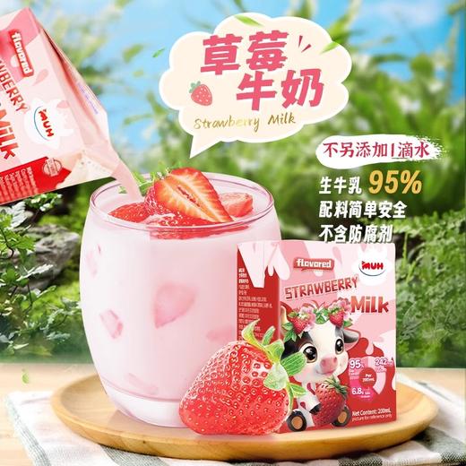 丹麦进口甘蒂牧场香蕉味|草莓味|巧克力味牛奶200mI 商品图4