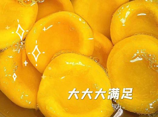 【新年钜惠】蒙清水果罐头260g*8 商品图2