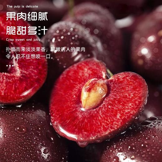 智利车厘子2J礼盒5斤装 /盒 商品图0