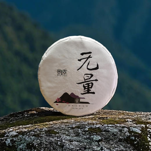 「无量」花蜜香韵 8年转化2017春·古树生普饼（357g） 商品图1