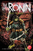 忍者神龟 Teenage Mutant Ninja Turtles: The Last Ronin:The Lost Years 商品缩略图8