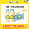 乳酸菌双柚汁0脂 柚香谷300ml瓶*20瓶/箱 常山柚子果味饮料柚汁饮品果汁 商品缩略图0