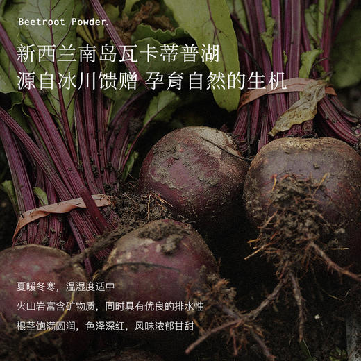 补血冻龄神器 新西兰原装进口 【Blackwood甜菜根冻干粉】被誉为“欧洲的灵芝” 商品图1
