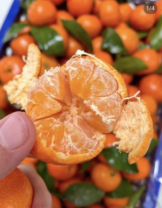 沙糖桔（特价） 商品图1