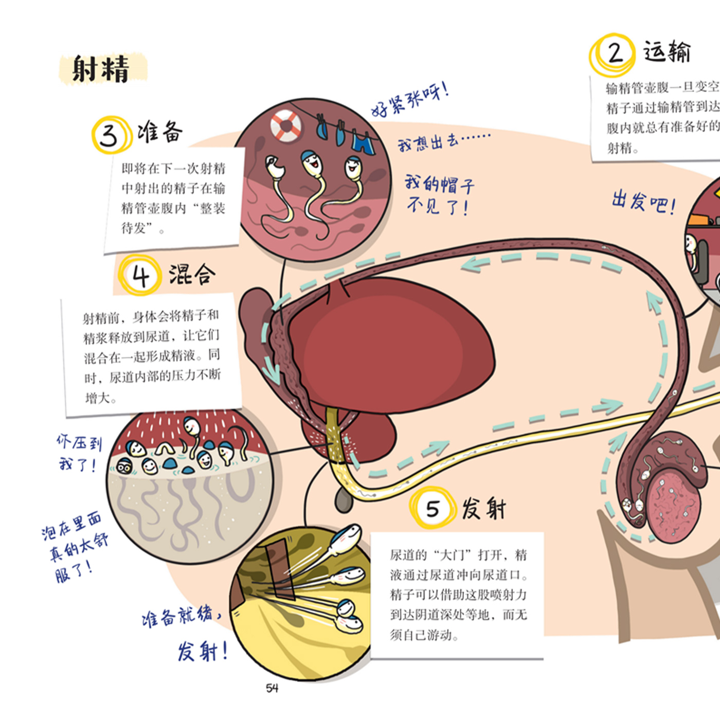 《精子有话说》