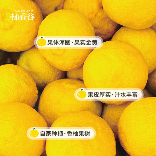 柚香谷（YUZUVALLEY）宋柚汁 双柚汁复合果汁饮料 鲜果萃取富含VC 0脂 商品图4