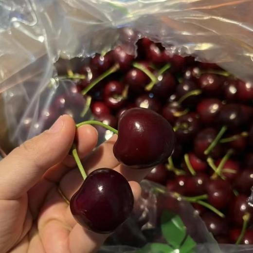 【智利车厘子】智利进口车厘子 顺丰空运 脆嫩细腻 水润多汁 肉厚核小 一口甜美时光 6种规格任选 商品图8