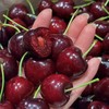 【智利车厘子】智利进口车厘子 顺丰空运 脆嫩细腻 水润多汁 肉厚核小 一口甜美时光 6种规格任选 商品缩略图7