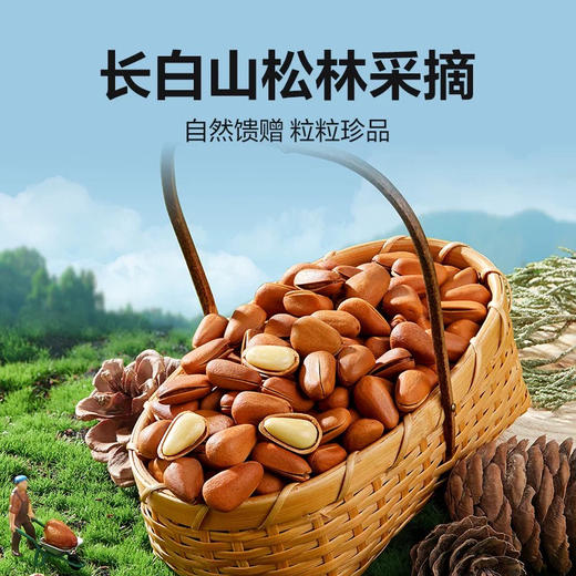 开口松子350g-550g±10g 商品图1