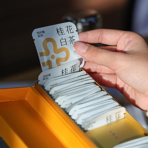 「桂花白茶」饼干茶，一次一袋，好茶焖着喝（40袋*2g） 商品图0