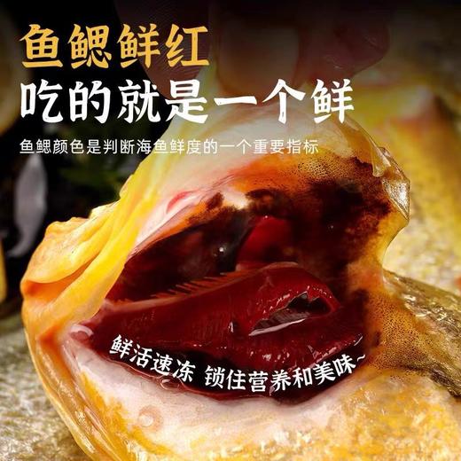 新疆正宗阿勒泰乌伦古湖野生净膛冷水鱼10斤礼盒装 / 保温箱新疆直发 商品图5