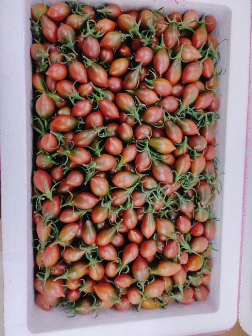 子弹头柿子一箱 商品图2