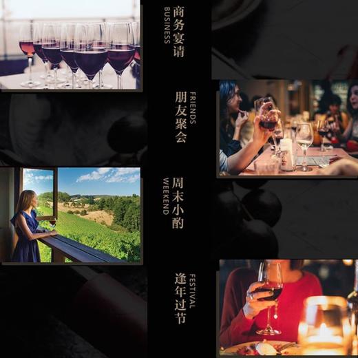 吉卡斯（JECUPS）特酿澳大利亚原瓶进口西拉干红葡萄酒宴会宴请【直选好酒】单支特酿750ml   KLJB 商品图2