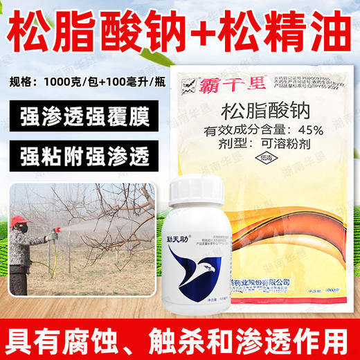 45%松脂酸钠勤天助松精油套餐果园清园剂大鹏清园灵清园宝介壳虫 商品图2