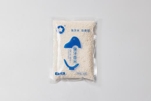 象牙香米38天鲜米系列300g*2袋（仅限社区活动购买自提 其他订单无效自动退单） 商品图0