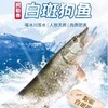 新疆正宗阿勒泰乌伦古湖野生净膛冷水鱼10斤礼盒装 / 保温箱新疆直发 商品缩略图6