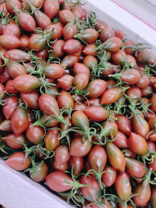 子弹头柿子一箱 商品图1