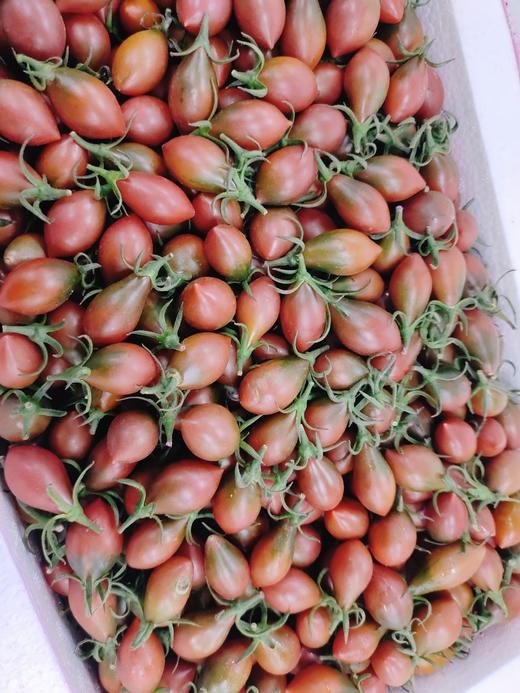 子弹头柿子一箱 商品图0