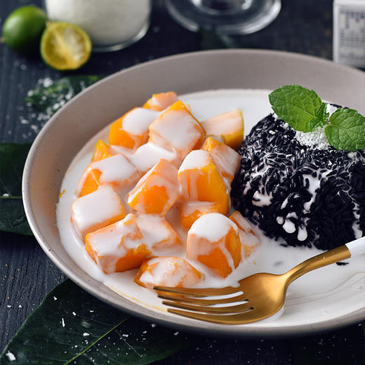 进口水妈妈椰浆家用小包装椰汁椰奶烘焙奶茶店专用200ml 商品图3