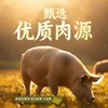 道台府正宗哈尔滨瘦肉型红肠95g 商品缩略图6